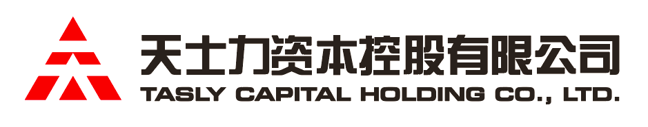K8凯发资本控股有限公司